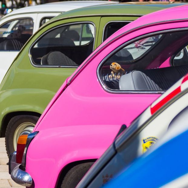 Dónde disfrutar de Concentraciones de coches clásicos (bigstock) Dónde disfrutar de Concentraciones de coches clásicos (bigstock)