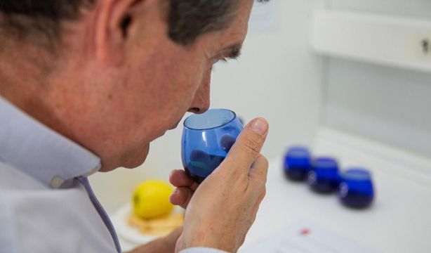 Madrid busca a los mejores catadores de aceite de oliva virgen extra