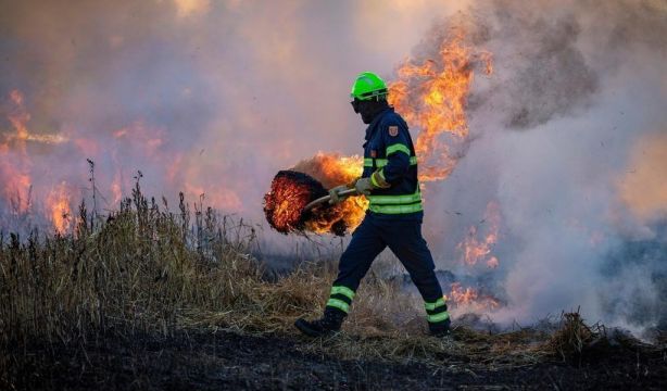 El cambio climático obliga a revisar protocolos y mejorar la capacidad de vigilancia en Urgencias El cambio climático obliga a revisar protocolos y mejorar la capacidad de vigilancia en Urgencias