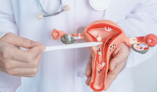 Identifican nuevas dianas terapéuticas para combatir el cáncer de cuello uterino / Fuente: EuropaPress