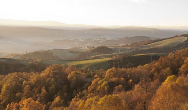 Camino De Santiago: Estas son las etapas del camino primitivo Camino De Santiago: Estas son las etapas del camino primitivo