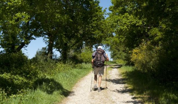 Camino De Santiago: Estas son las etapas del camino primitivo Camino De Santiago: Estas son las etapas del camino primitivo