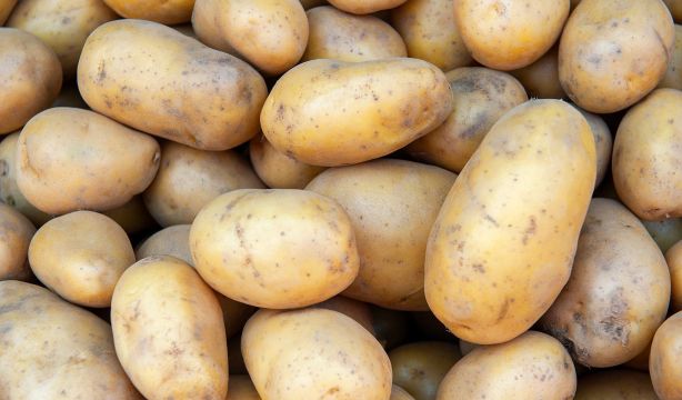 Los alimentos que más han subido de precio en agosto: las patatas, a la cabeza