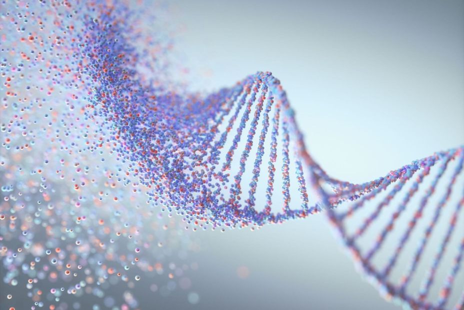 En busca de si se hereda la longevidad: los genes que explican la menor prevalencia de enfermedad En busca de si se hereda la longevidad: los genes que explican la menor prevalencia de enfermedad