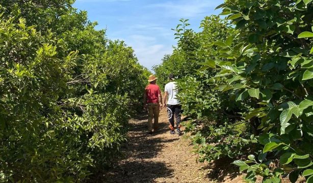 Reclaman una estrategia específica que garantice el relevo generacional en el campo