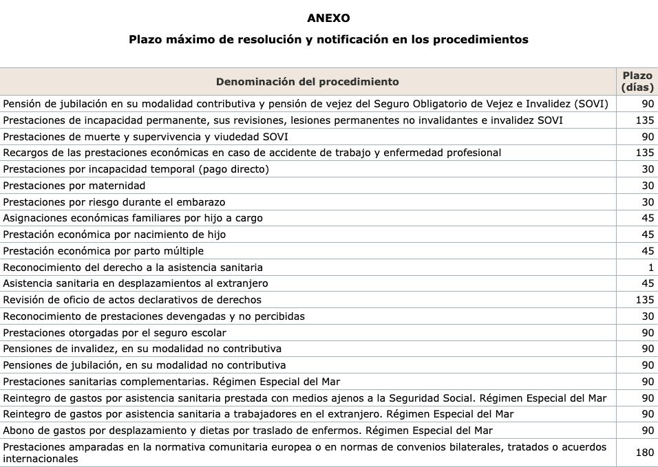 plazo concesion pensiones de la SS plazo concesion pensiones de la SS