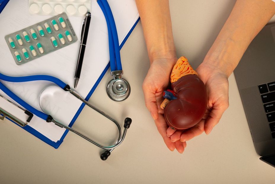 Hito médico: vive nueve meses con un riñón de cerdo y sin necesitar diálisis
