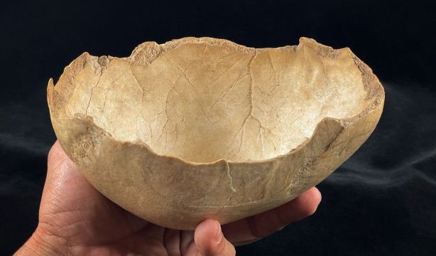Tres cuevas de Granada revelan un canibalismo recurrente en el Neolítico ibérico (Fuente: Europapress)