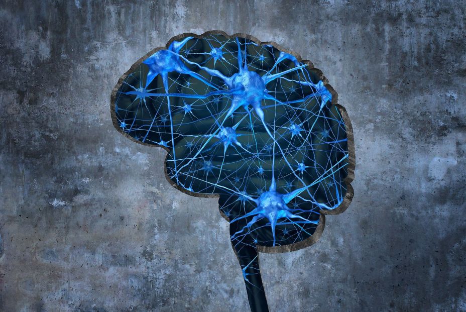 Un compuesto natural mejora la memoria en ratones con alzhéimer Un compuesto natural mejora la memoria en ratones con alzhéimer