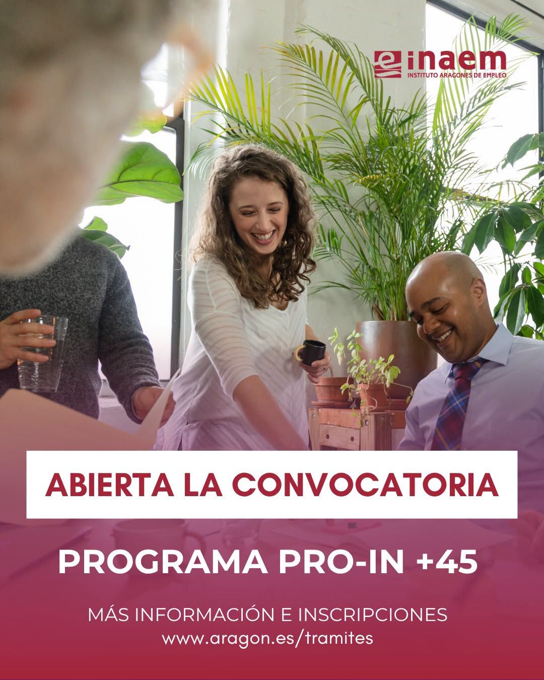 PRO-IN +45 PRO-IN +45