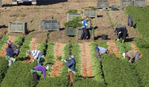 Agricultura y servicios, los sectores con menos trabajadores protegidos frente a la inflación