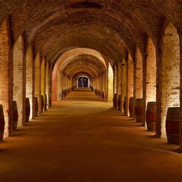 Ruta del anís de Chinchón y los vinos de la Vega del Tajo: sabores e historia al sureste madrileño