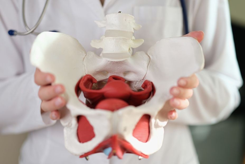 Artrosis de cadera y envejecimiento saludable, claves para cuidar esta articulación vital Artrosis de cadera y envejecimiento saludable, claves para cuidar esta articulación vital
