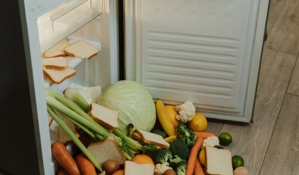 Alimentos congelados