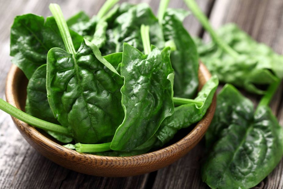 Los mejores alimentos para cuidar el cerebro (Fuente: BigStock)