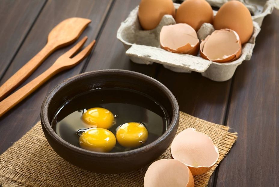 Los mejores alimentos para cuidar el cerebro (Fuente: BigStock)