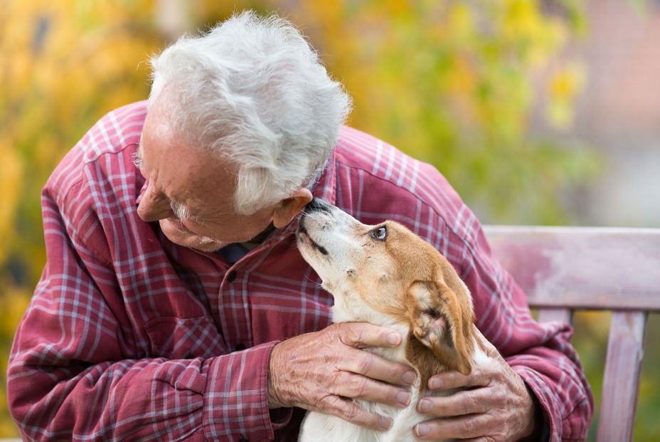 1 de cada 3 sénior convive con una mascota y el 91% de ellos afirma que le ayuda a estar acompañado (Big Stock)) 1 de cada 3 sénior convive con una mascota y el 91% de ellos afirma que le ayuda a estar acompañado (Big Stock))