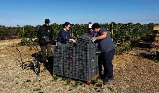La Comunidad de Madrid abre sus centros de investigación agraria a estudiantes de FP y universidad