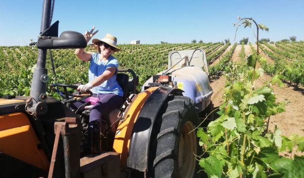 Mujeres rurales reclaman igualdad de oportunidades, servicios dignos en el campo y ser escuchadas