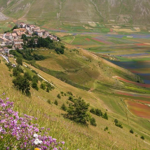 Castelluccio de Nursia, Umbría (BigStock)