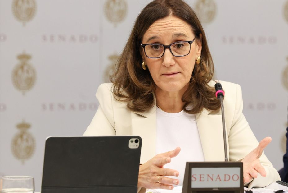 EuropaPress 7789449 expresidenta agencia estatal seguridad ferroviaria aesf exsecretaria EuropaPress 7789449 expresidenta agencia estatal seguridad ferroviaria aesf exsecretaria