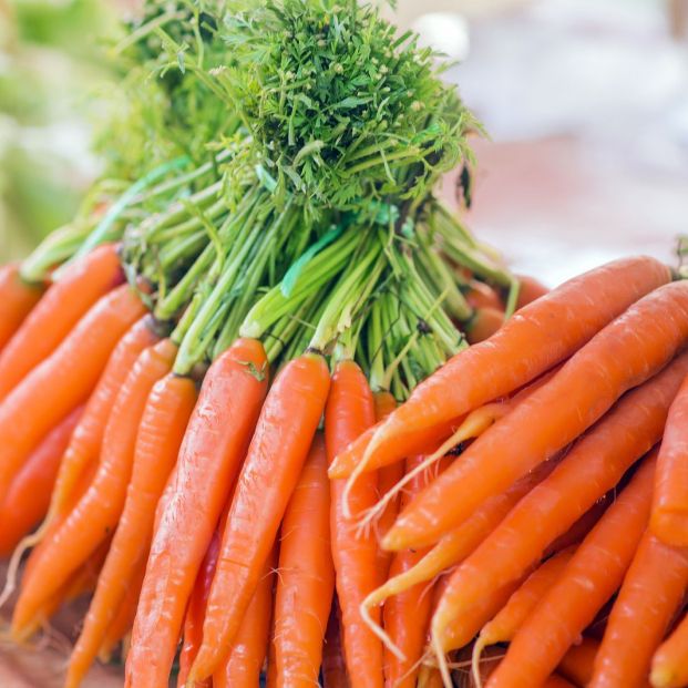 Zanahorias en la dieta del adulto mayor