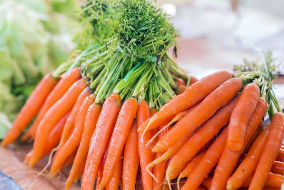 Zanahorias en la dieta del adulto mayor