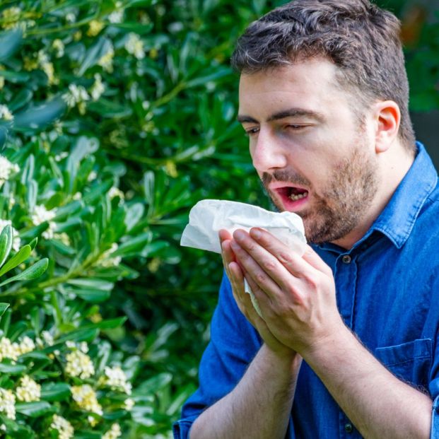 Los estornudos son respuesta frecuente frente a una reacción alérgica
