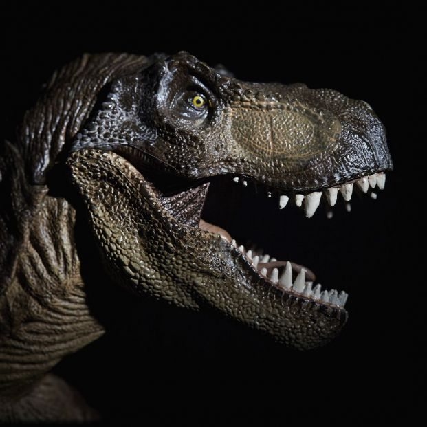 Espectáculos y museos donde saber más sobre dinosaurios