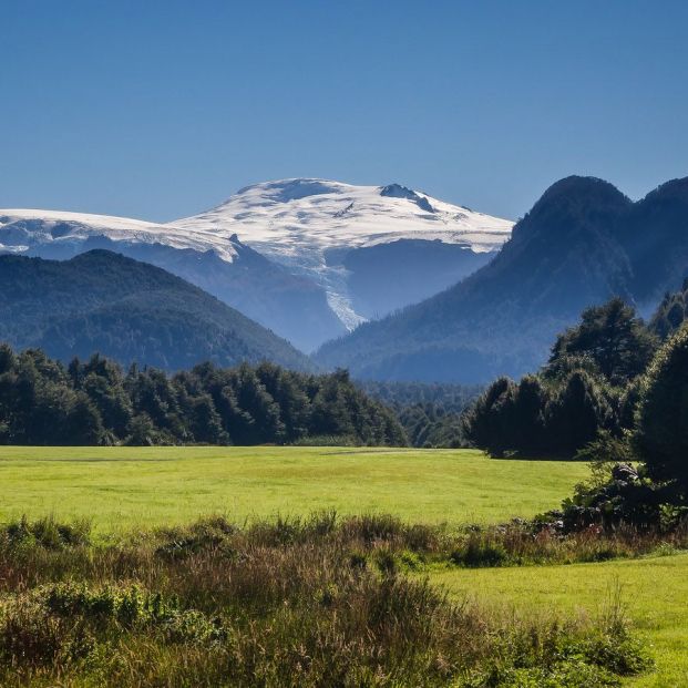 Parque Pumalin