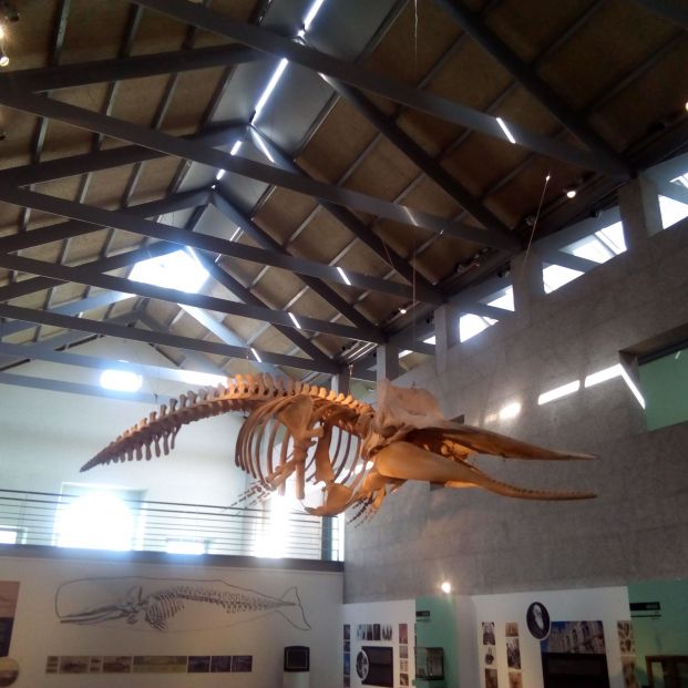 Museo do Mar de Galicia 