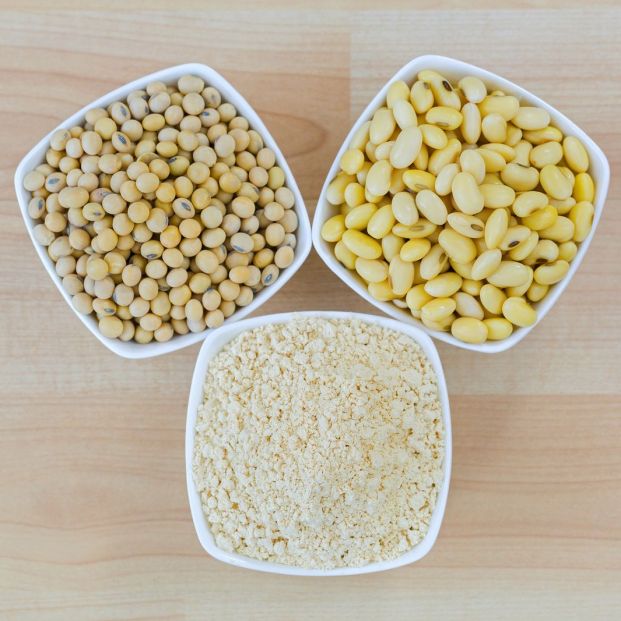 La lecitina es uno de los muchos productos derivados que pueden obtenerse de la soja La lecitina es uno de los muchos productos derivados que pueden obtenerse de la soja