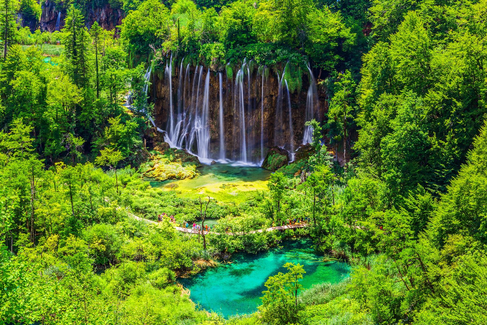 Descubre estos bosques míticos en el Día Internacional de los Bosques