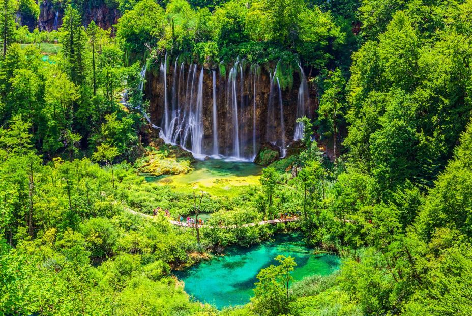 Descubre estos bosques míticos en el Día Internacional de los Bosques Descubre estos bosques míticos en el Día Internacional de los Bosques