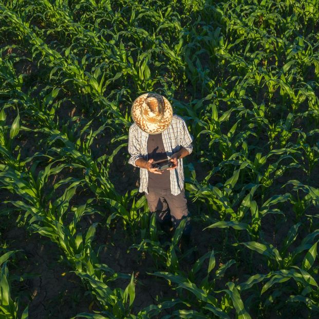 Las nuevas tecnologías ayudan frente al abandono rural