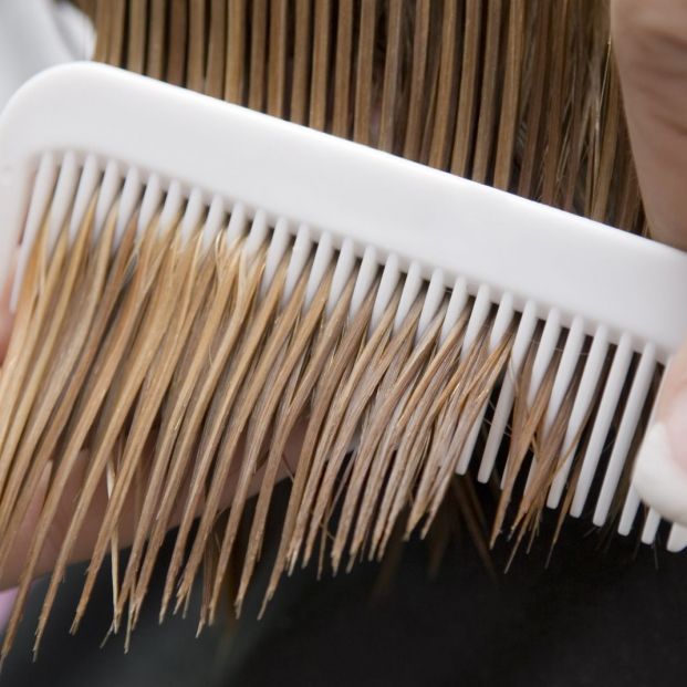 ¿Se puede dormir con el pelo mojado o es una práctica no demasiado muy saludable? ¿Se puede dormir con el pelo mojado o es una práctica no demasiado muy saludable?
