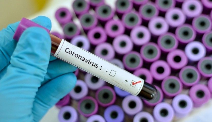 La OMS avisa: "Debe aislarse a los recuperados 15 días, pueden contagiar el coronavirus"