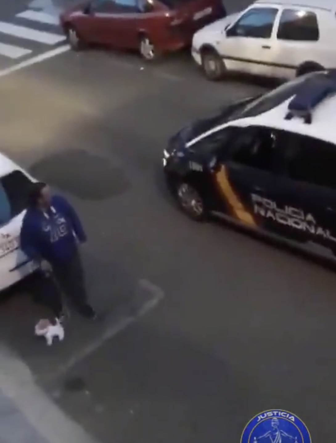Un hombre es sancionado en Palencia por salir a la calle a pasear un perro de peluche