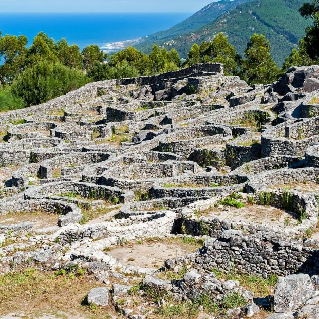  el contorno de la desembocadura del Miño. Pertenece a la cultura castreña, el más emblemático y visitado de los castros gallegos. Fue declarado Monumento Histórico Artístico Nacional en el año 19312​ y también tiene la consideración de Bien de Interés Cultural.