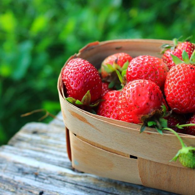 La alergia a las fresas puede desencadenar en llagas (bigstock)