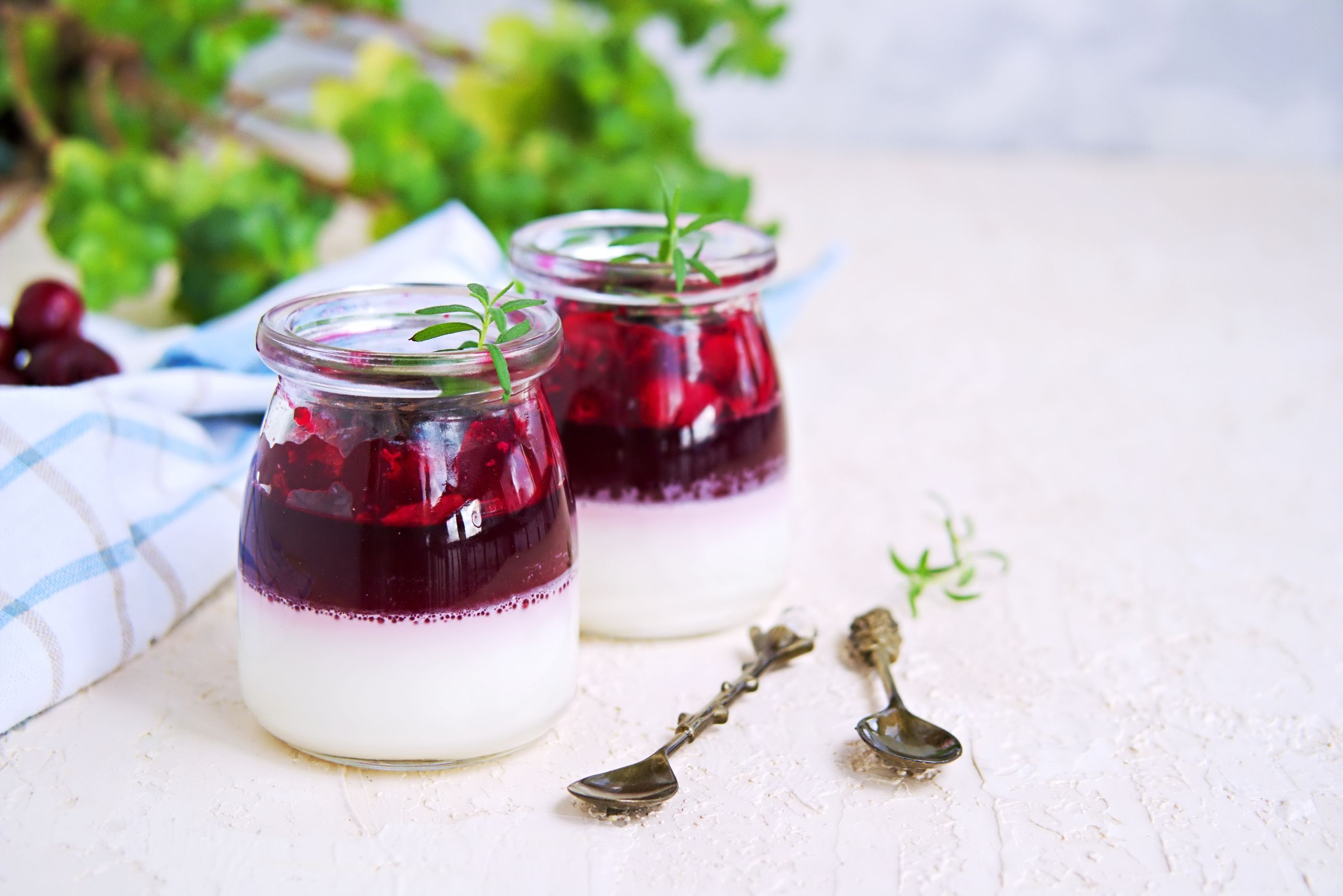 ¿Sabes cómo elaborar deliciosos postres sin necesidad de utilizar harina?. Panna Cotta. Foto: Bigstock 