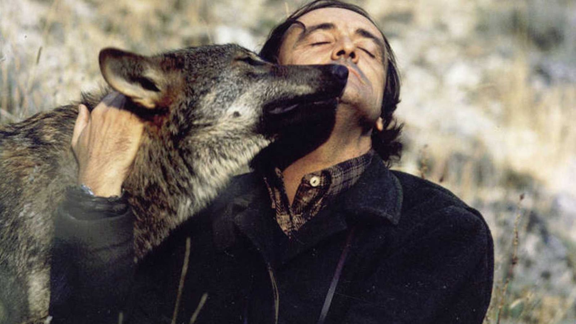 Félix Rodríguez de la Fuente con un lobo (RTVE)
