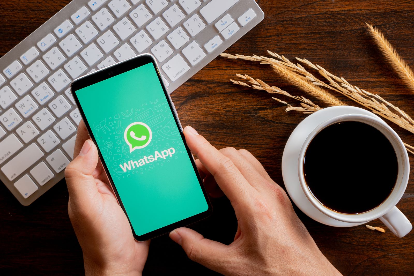 Videos y fotos con fecha de caducidad en WhatsApp