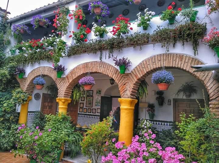 Pilar Cernuda: Los patios de Córdoba