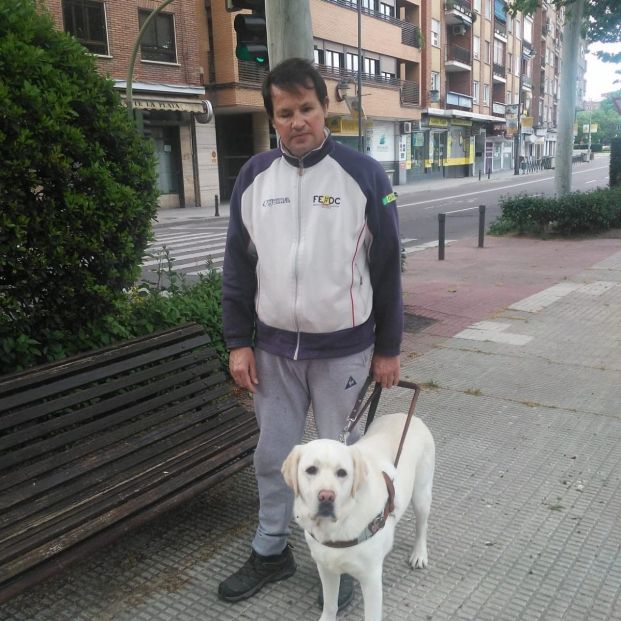1.056 perros guía de la ONCE acompañan a personas ciegas - Foto: EuropaPress