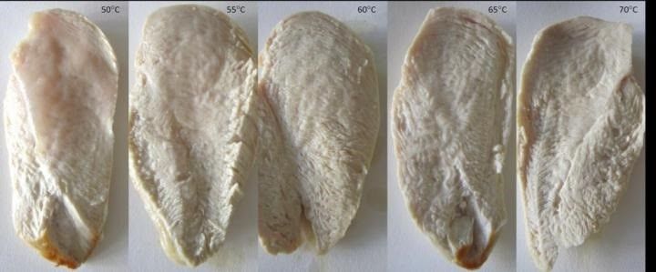 Imágenes filetes pollo diferentes temperaturas