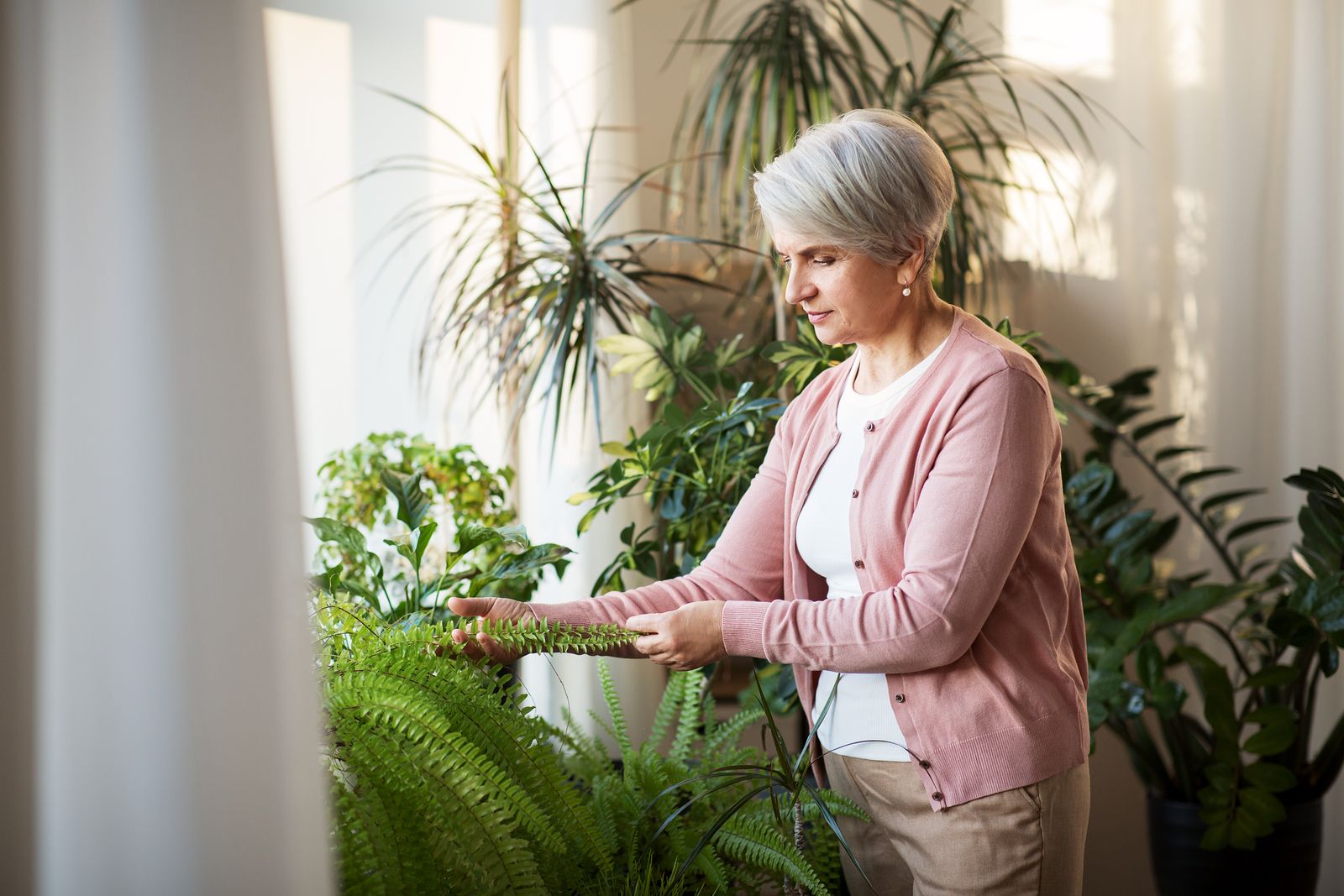 Dispositivos para crear un jardín inteligente en casa