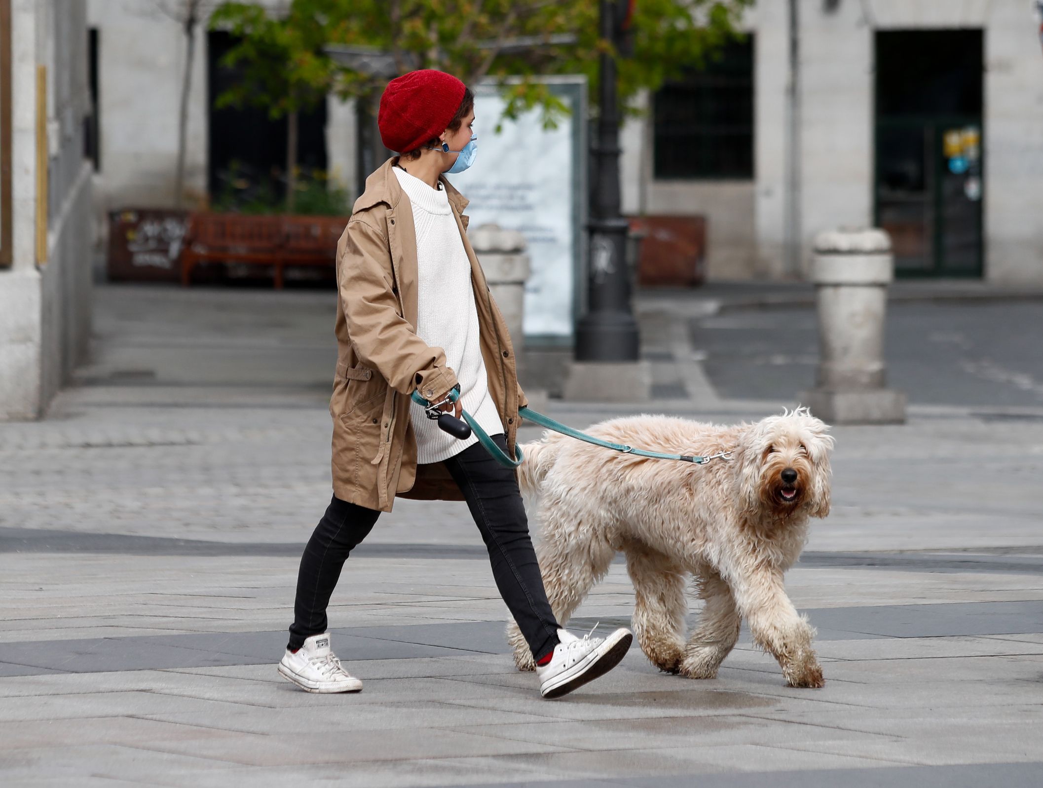 UVI24, la app que conecta a personas mayores con perro con vecinos que los pueden pasear