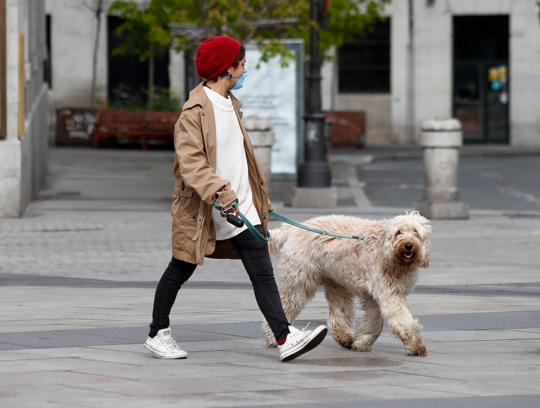 UVI24, la app que conecta a personas mayores con perro con vecinos que los pueden pasear UVI24, la app que conecta a personas mayores con perro con vecinos que los pueden pasear