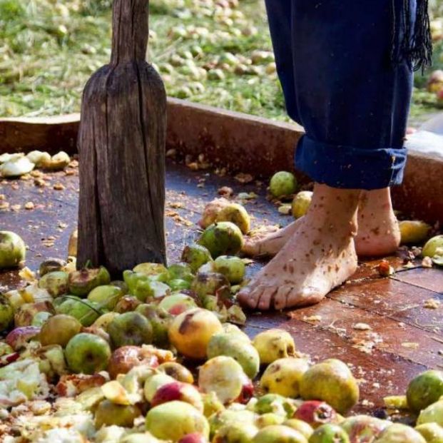 Elaboración de la sidra vasca ( Sagardoaren Lurraldea / Oihana Oribe)